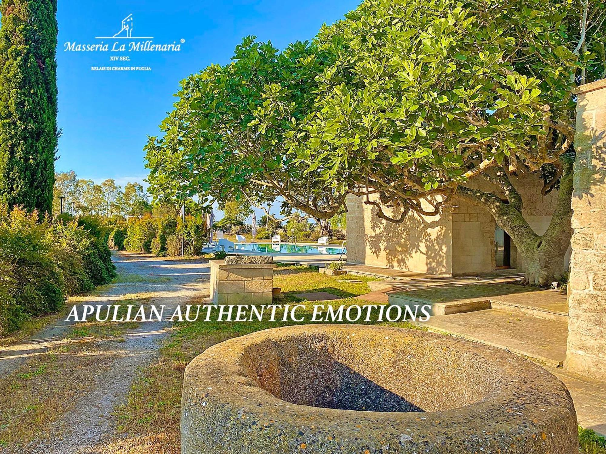 Masseria La Millenaria Сан-Фока Экстерьер фото